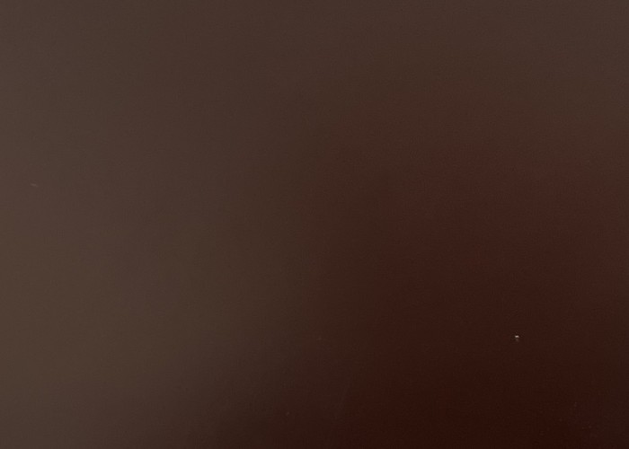 POL 8017